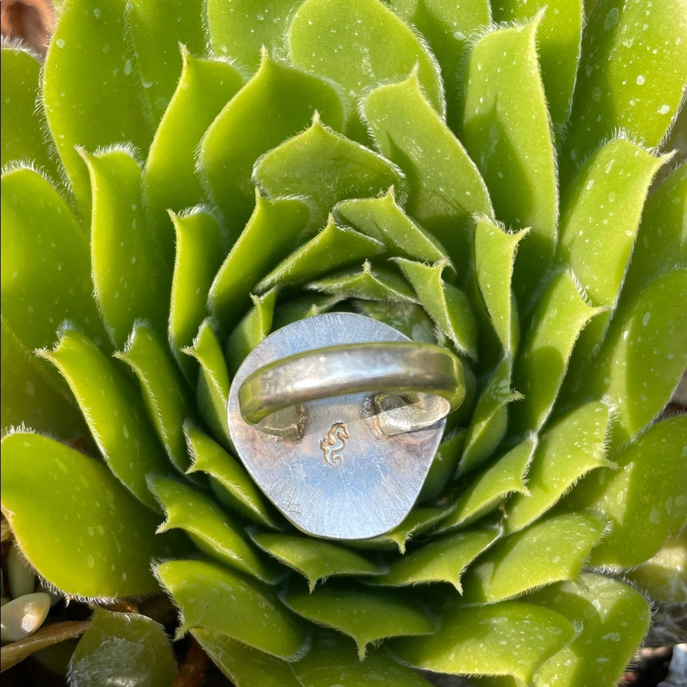 Sunrise Shell Ring - Picture 2 of 6